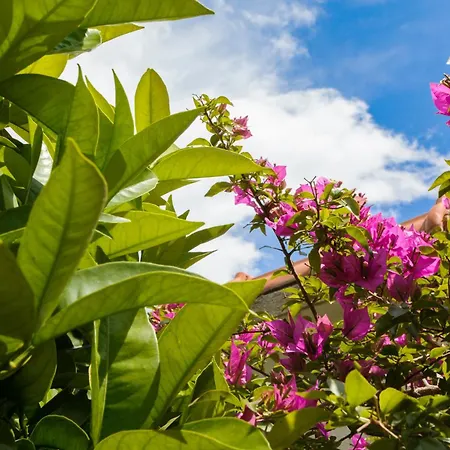 Apartman Mascarelli Split