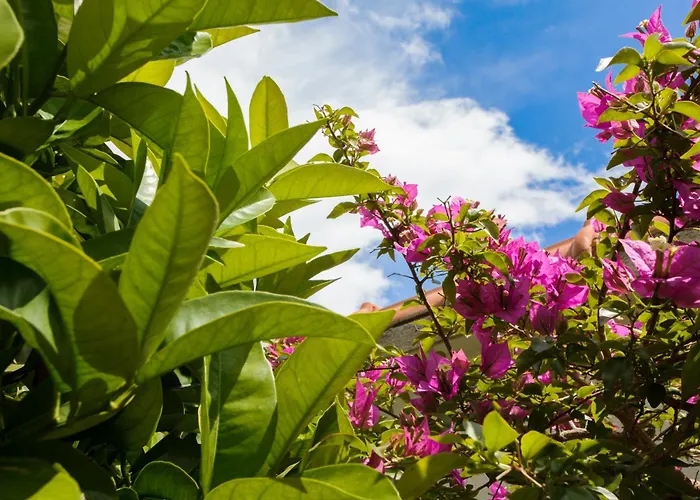 Apartman Mascarelli Split